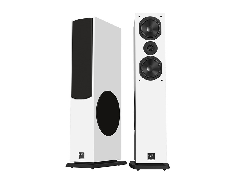 Loa Paramax D88 Luxury