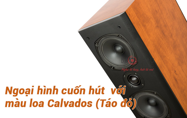 Loa Paramax F2800 new màu sắc tinh tế