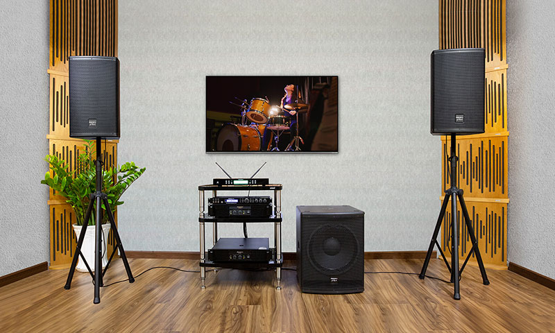 Loa Paramax Pro V40