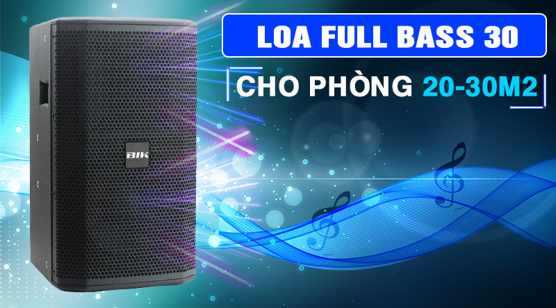 Loa karaoke BIK BSP 412 cao cấp giá rẻ
