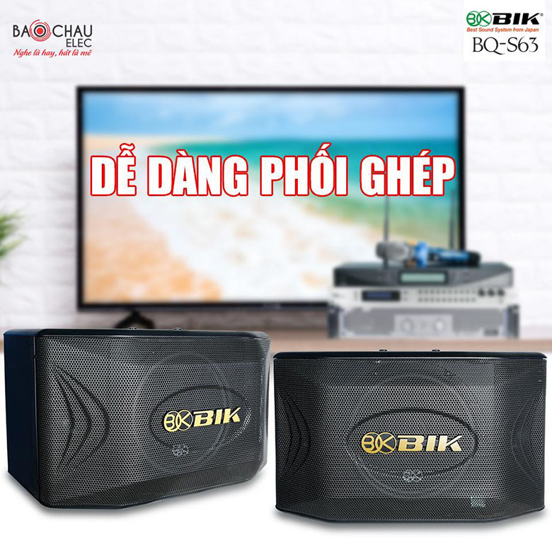 Loa BIk BQ-S63 phối ghép dễ dàng