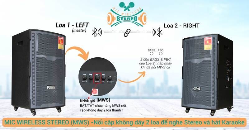 Loa k&eacute;o Acnos CB421PLUS
