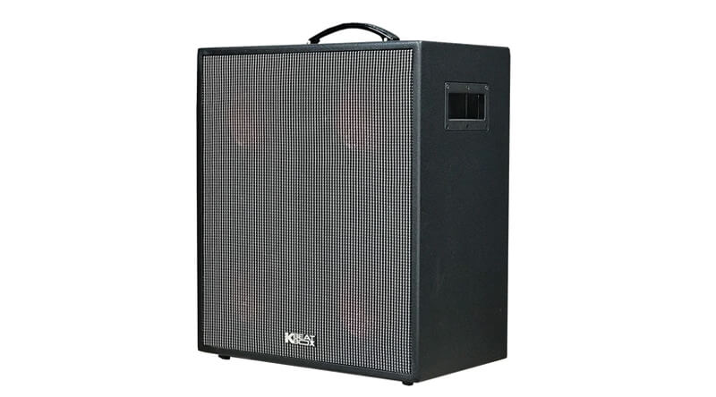 Loa kéo Acnos CS550
