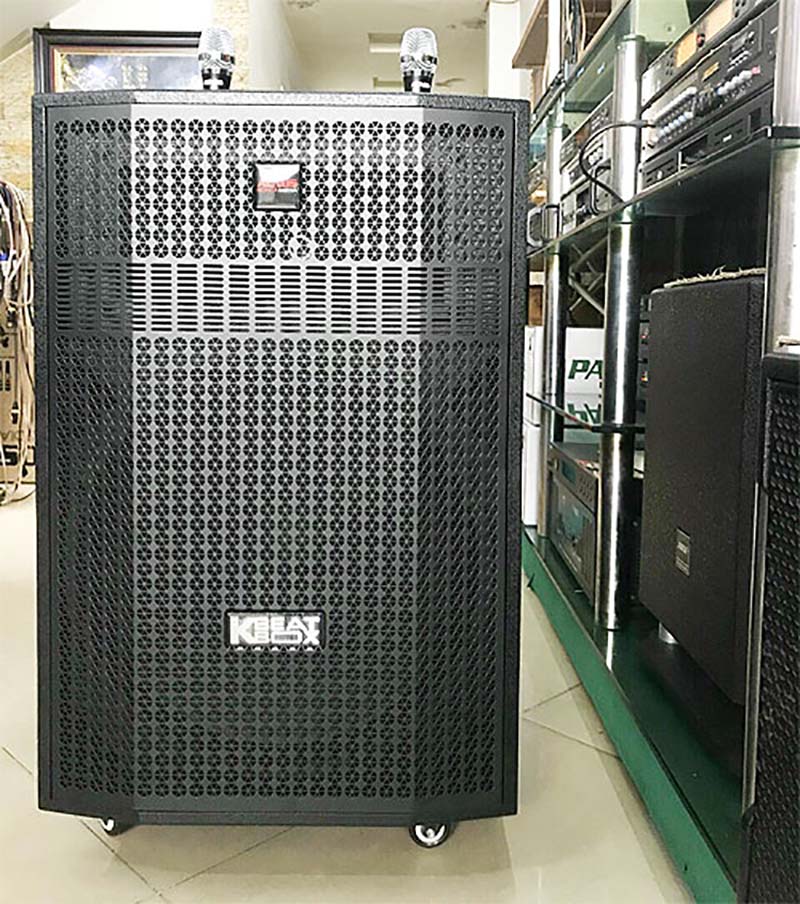 D&agrave;n Karaoke Di Động ACNOS CB501G