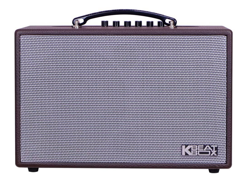 Loa xách tay Acnos CS160 (Bass 16.5cm)