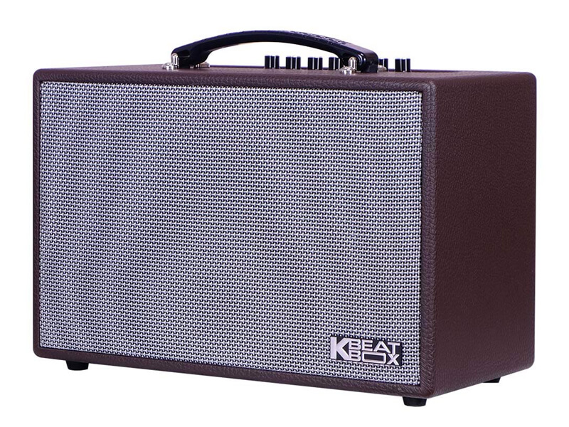 Loa xách tay Acnos CS160 (Bass 16.5cm)