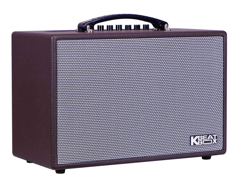Loa xách tay Acnos CS160 (Bass 16.5cm)