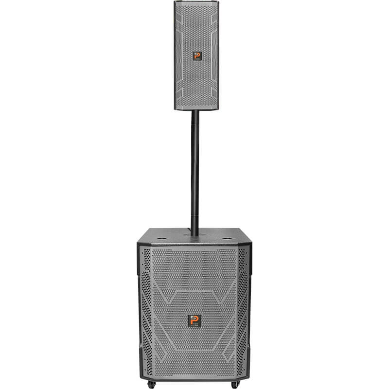Loa k&eacute;o Prosing W15-COT 10