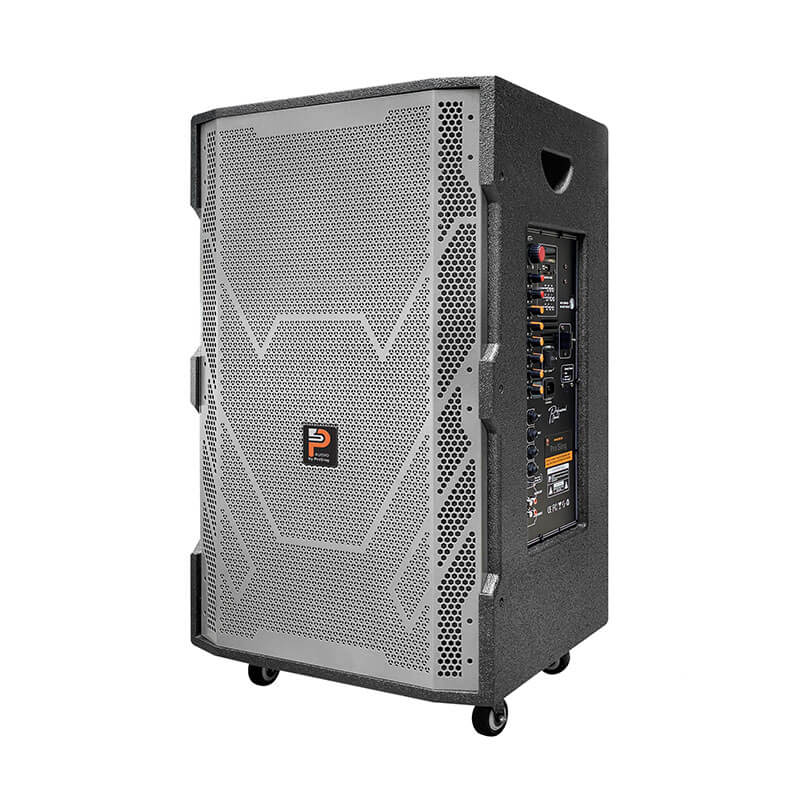 Loa kéo Prosing W15-Super 10