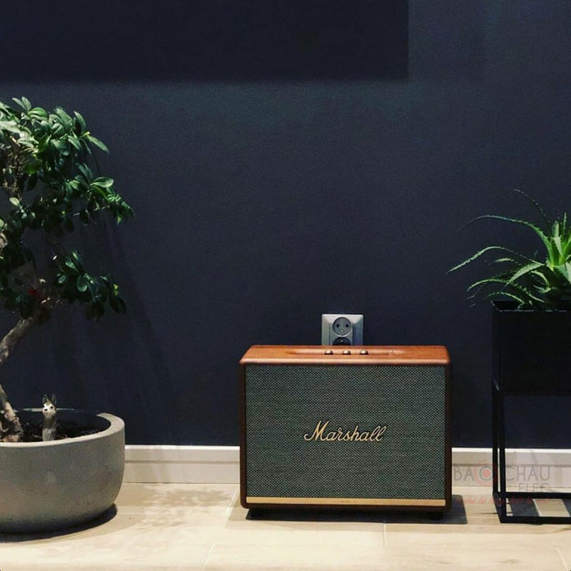 Loa bluetooth Marshall Woburn 2