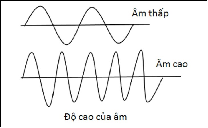 Loa mid là gì? Chức năng của Loa mid trong dàn âm thanh
