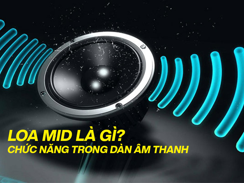 Loa mid là gì? Chức năng của Loa mid trong dàn âm thanh