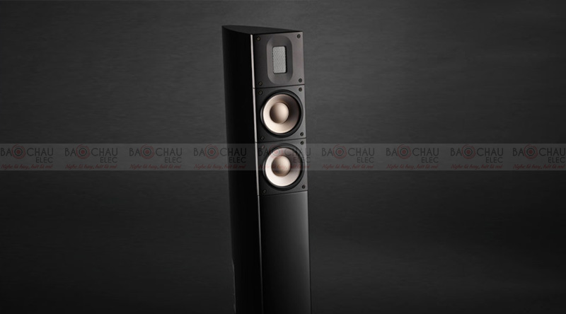 Loa Raidho XT2