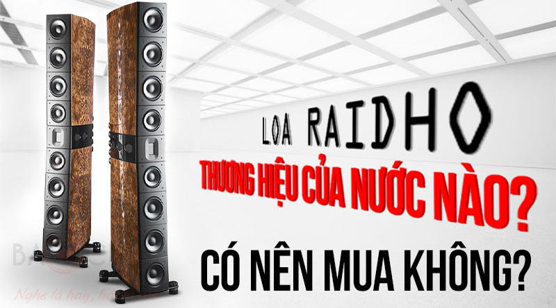 Loa Raidho 