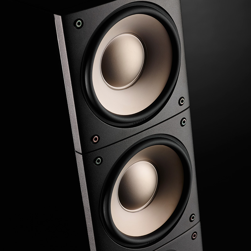 Loa Raidho XT3