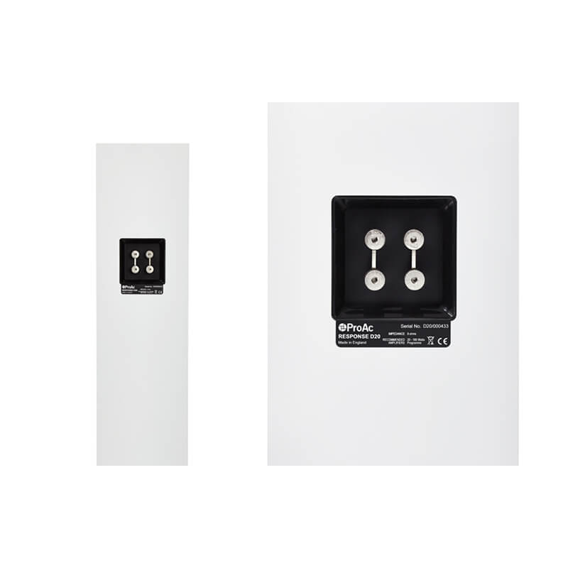 Loa Proac Response D20