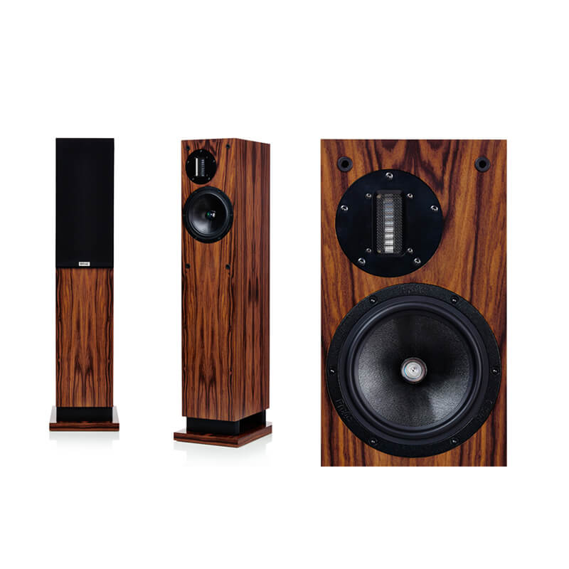 Loa Proac Response D20