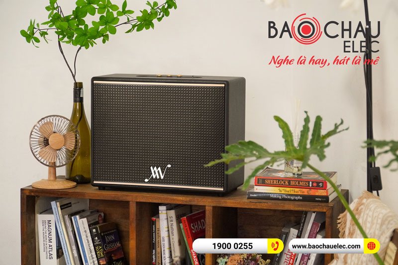 Loa Bluetooth Retro Alpha Works Classic V100