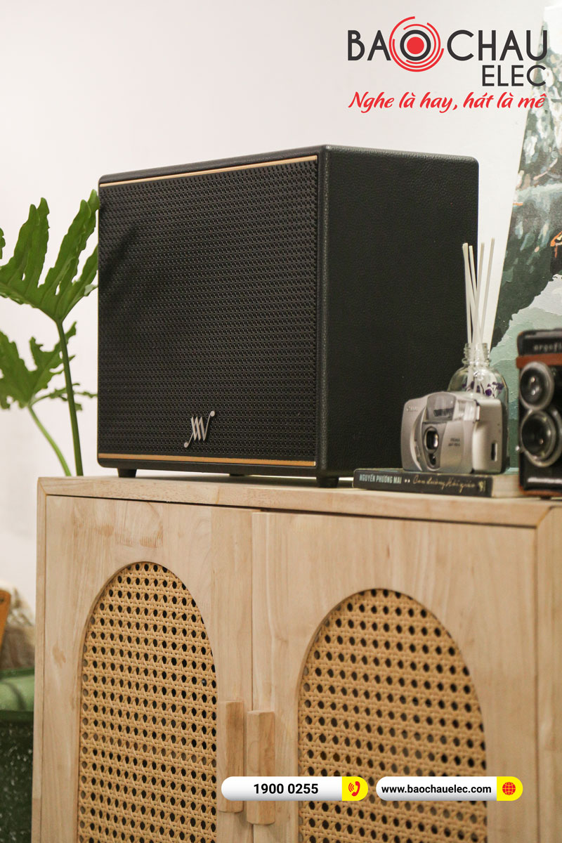 Loa Bluetooth Retro Alpha Works Classic V100
