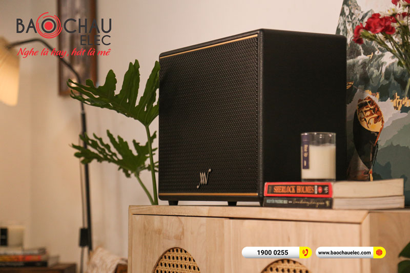 Loa Bluetooth Retro Alpha Works Classic V100