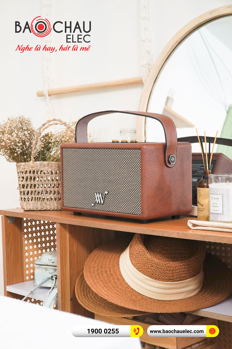 Loa Bluetooth Retro Alpha Works Classic V60