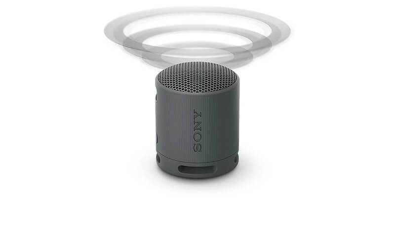 Loa Sony SRS-XB100