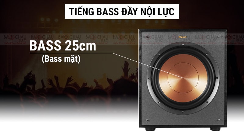 Loa Sub điện Klipsch R110SW củ bass 25 cm 