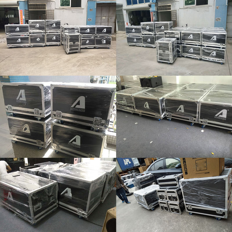 Loa Sub Hơi K&eacute;p Bass 50cm Array Actpro S218+ 