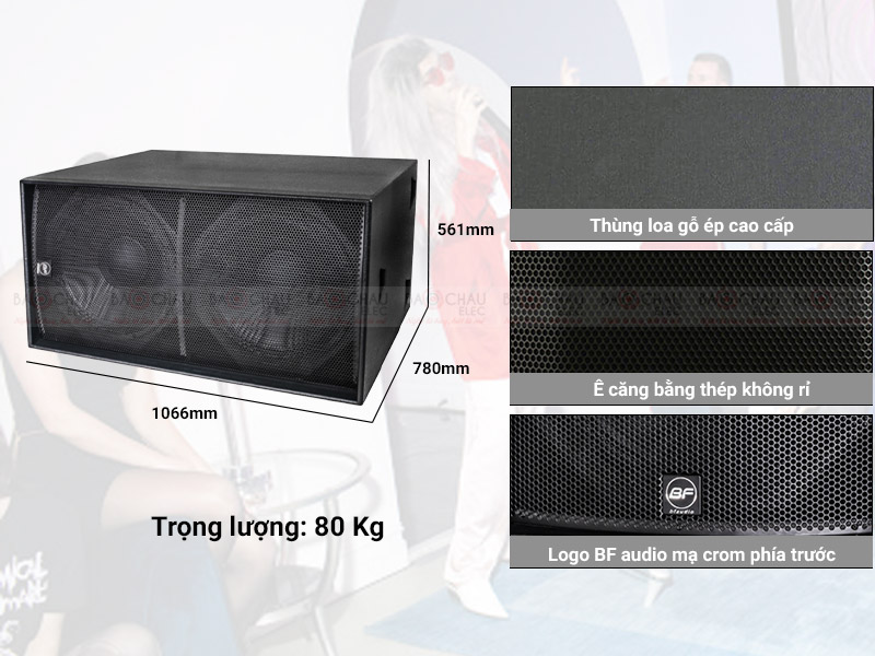 Loa sub BF audio V218S