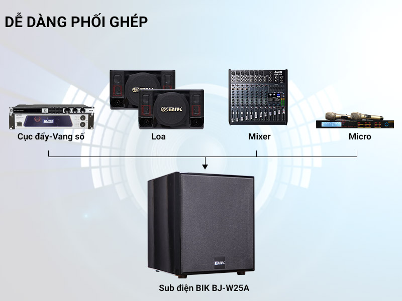 Loa sub điện BIK BJ-W25A (Bass 30cm)