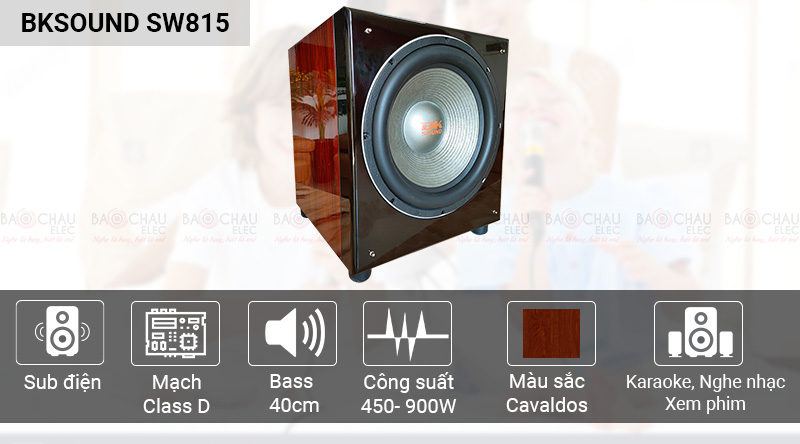 Loa sub BKSound SW815