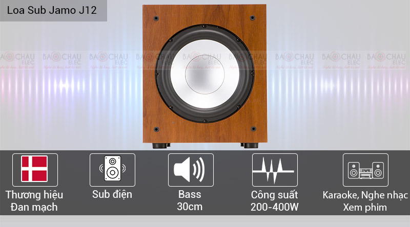 Loa sub điện Jamo J12