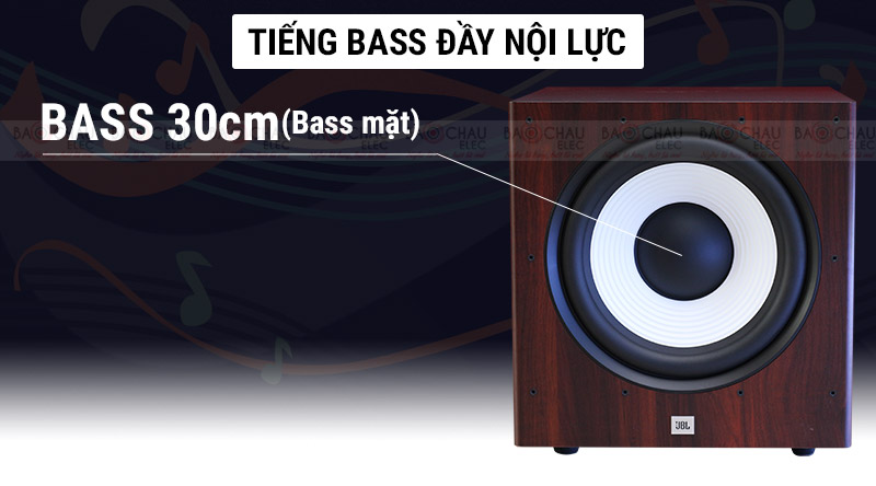 Loa sub cho &acirc;m bass đầy nội lực 