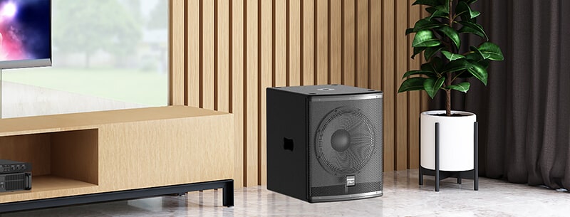 Loa sub Paramax PRO SUB-V40