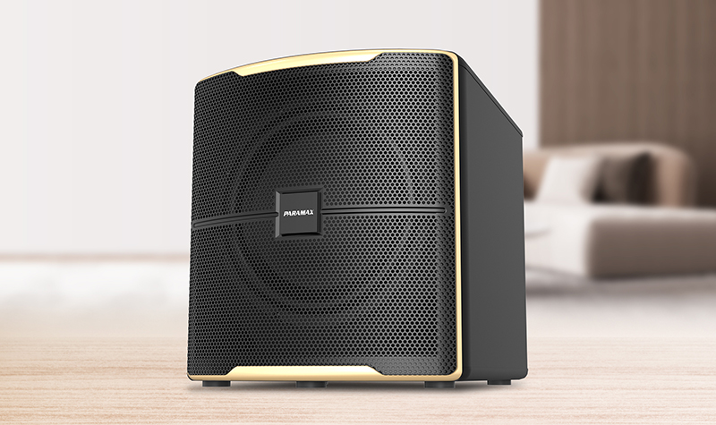 Loa sub Paramax Z-Sub