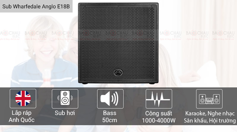 Loa sub Wharfedale Anglo E18B