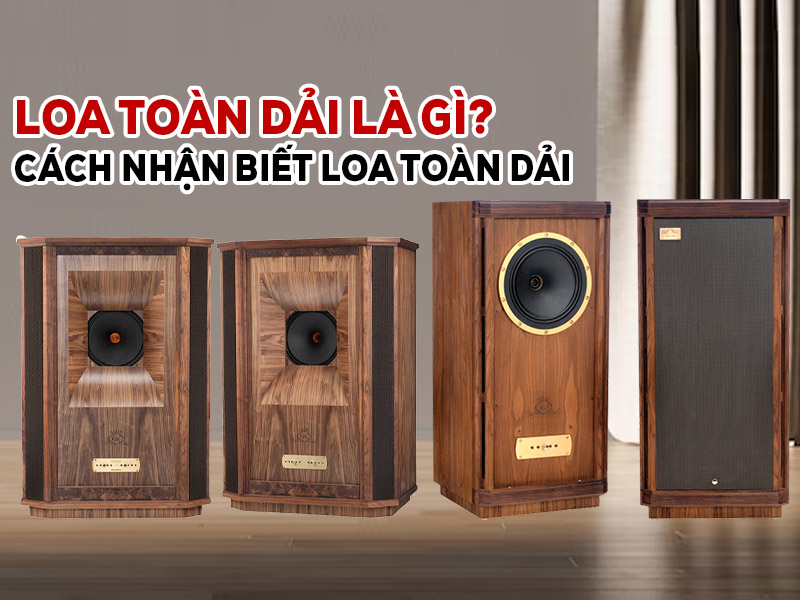 LOA To&agrave;n Dải l&agrave; g&igrave;? C&aacute;ch nhận biết loa to&agrave;n dải