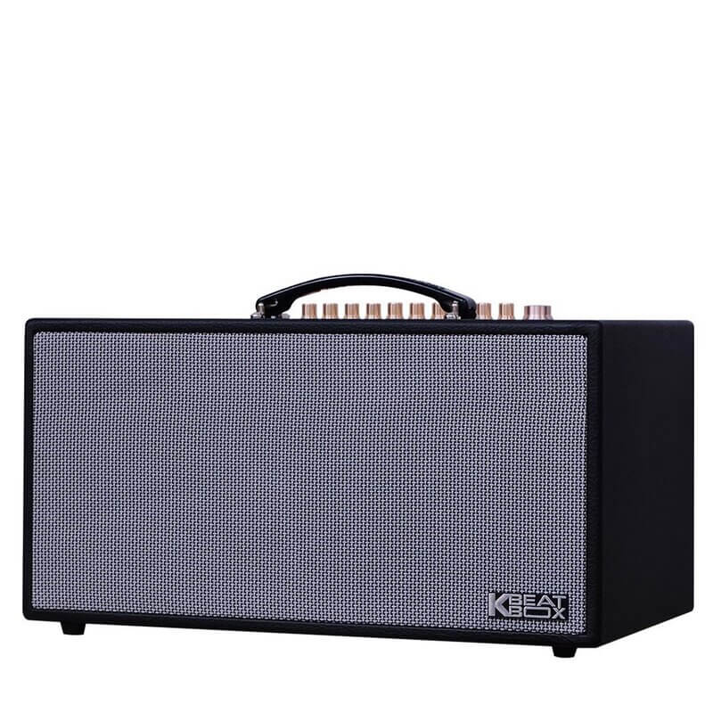 Loa x&aacute;ch tay ACNOS HN450