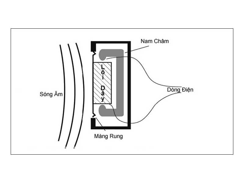 Micro điện động l&agrave; g&igrave;? Hoạt động như thế n&agrave;o