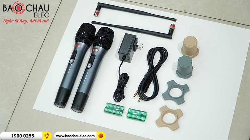 Micro không dây BBS-S290D