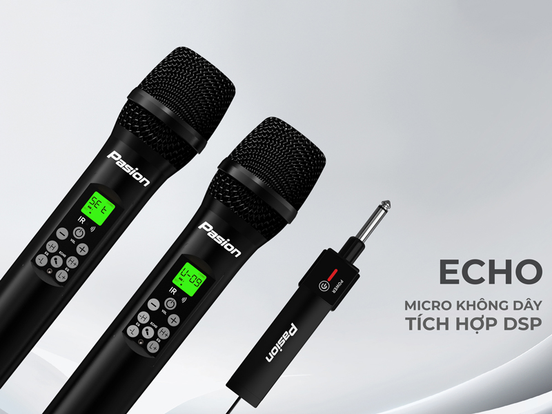Micro Kh&ocirc;ng D&acirc;y Paramax Pasion Echo