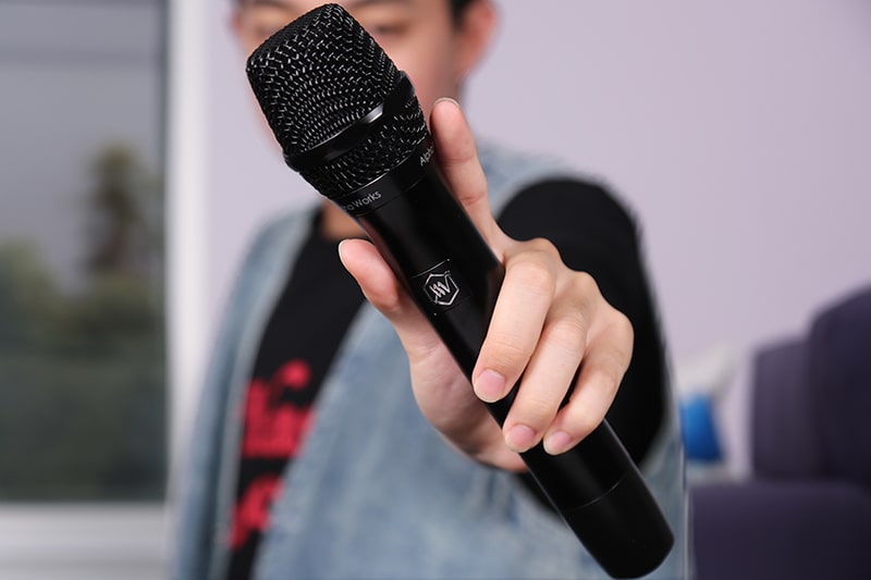 Micro kh&ocirc;ng d&acirc;y Alpha Works D2