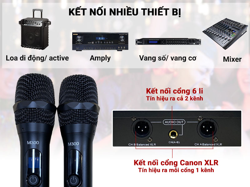 Micro kh&ocirc;ng d&acirc;y Toprhyme M300