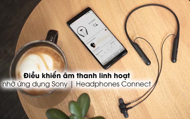 Tai nghe Sony WI-C600N
