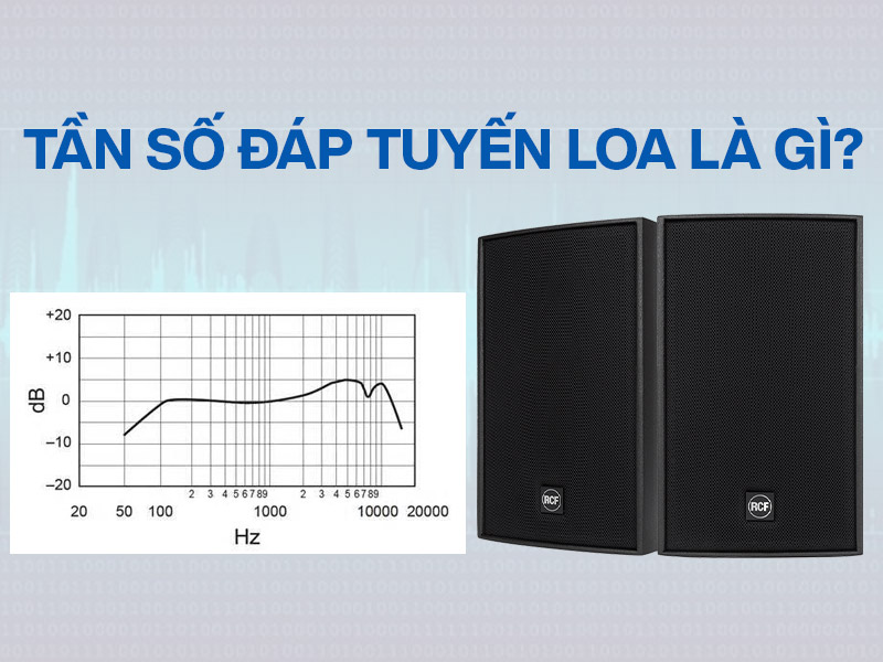 Tần số đáp tuyến loa là gì? Tại sao tần số đáp ứng của loa lại quan trọng