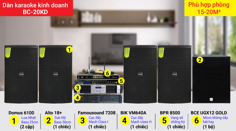D&agrave;n karaoke kinh doanh