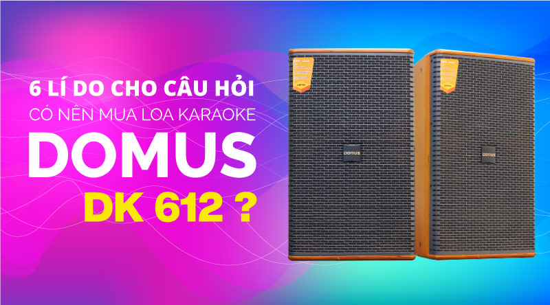6 l&yacute; do cho c&acirc;u hỏi: C&oacute; n&ecirc;n mua loa karaoke Domus DK 612?