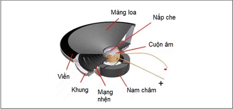Bộ phận cơ bản của loa