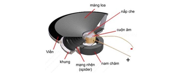 Cấu tạo loa bass