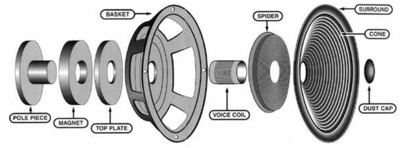 Coil loa thực chất là gì? Cách thay đổi côn loa đơn giản